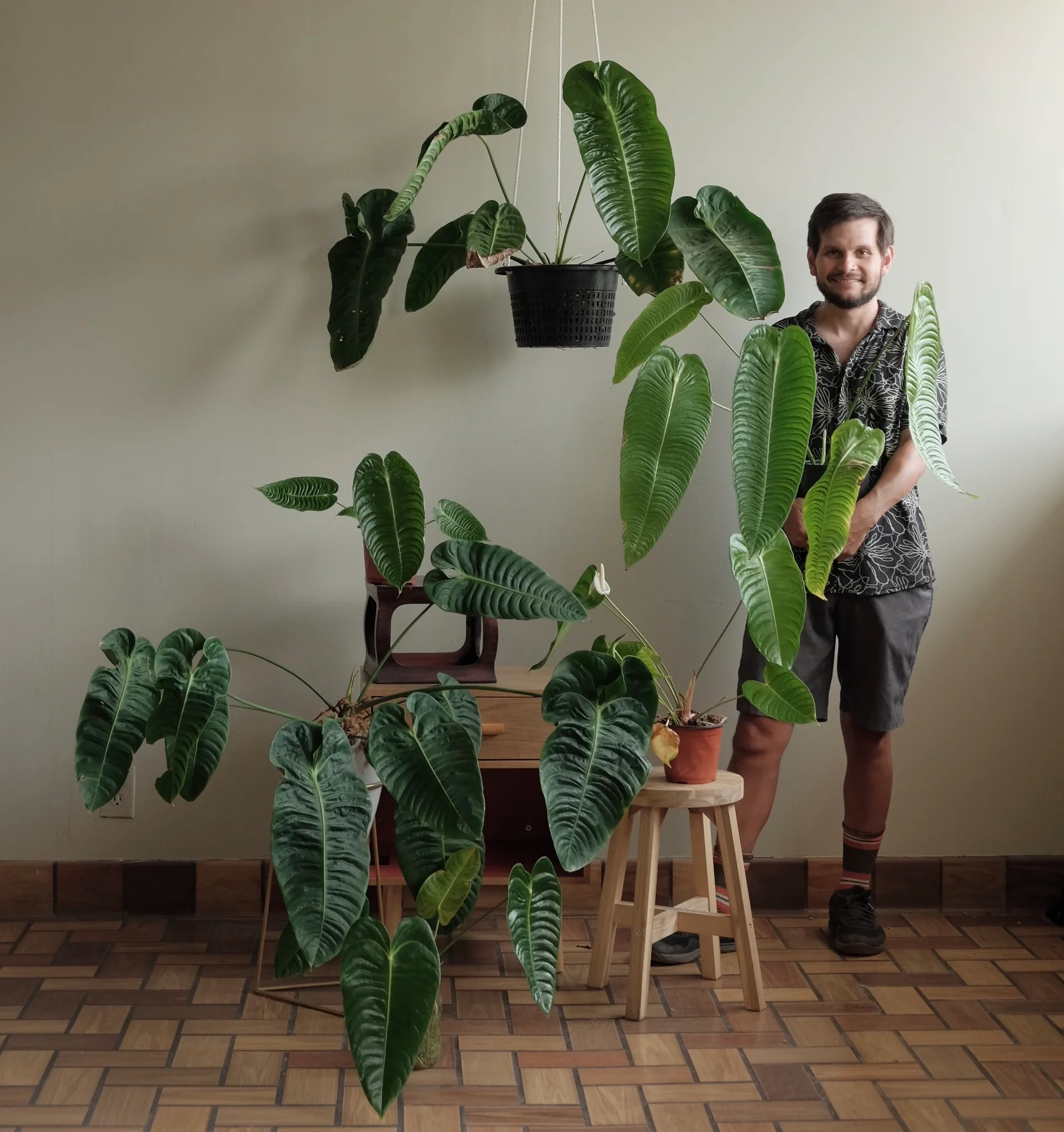 Elevate Your Indoor Urban Jungle