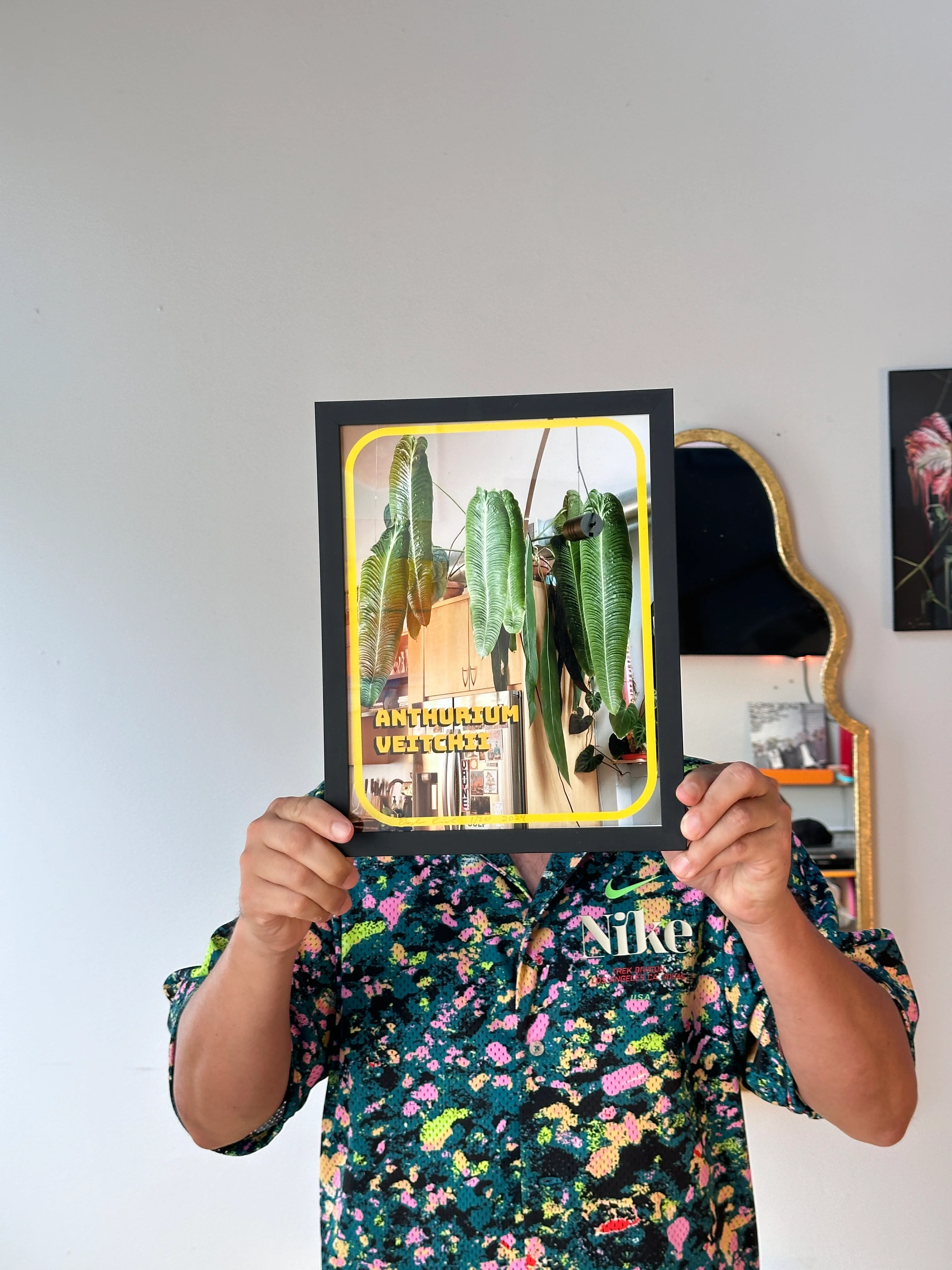 Anthurium veitchii Photo Print - Image 5