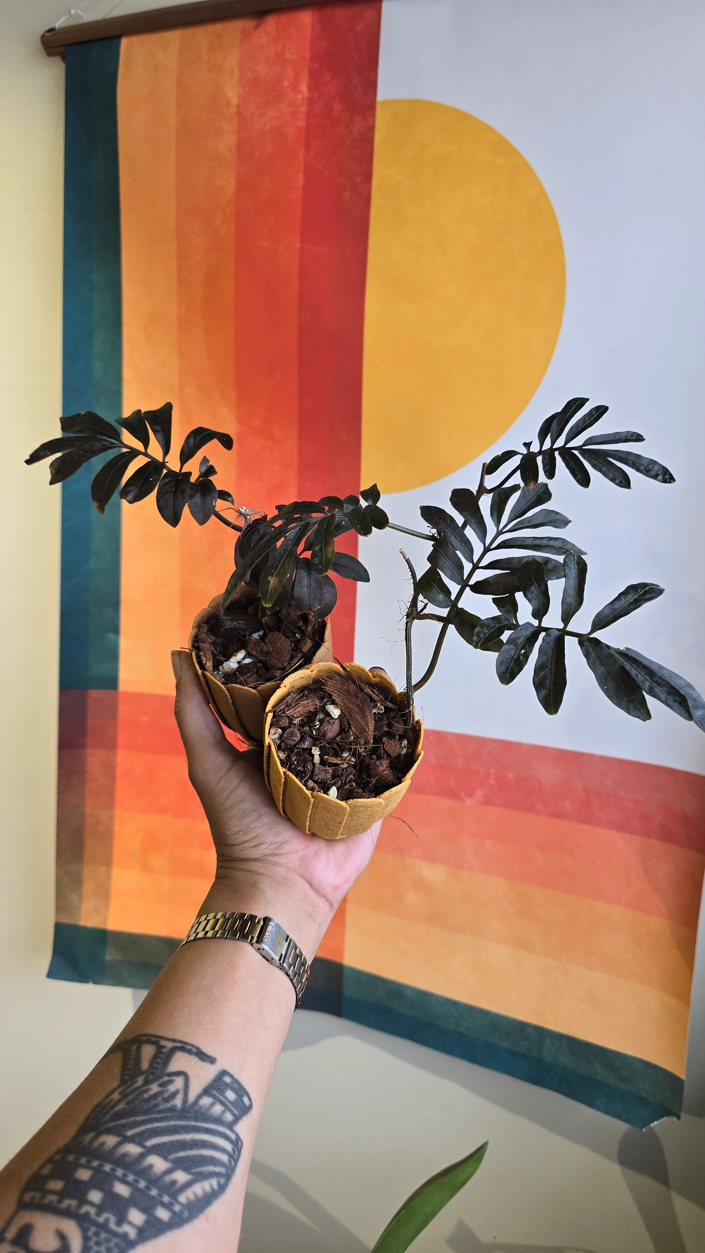 Mini Rousseau Petal Pot - Image 4