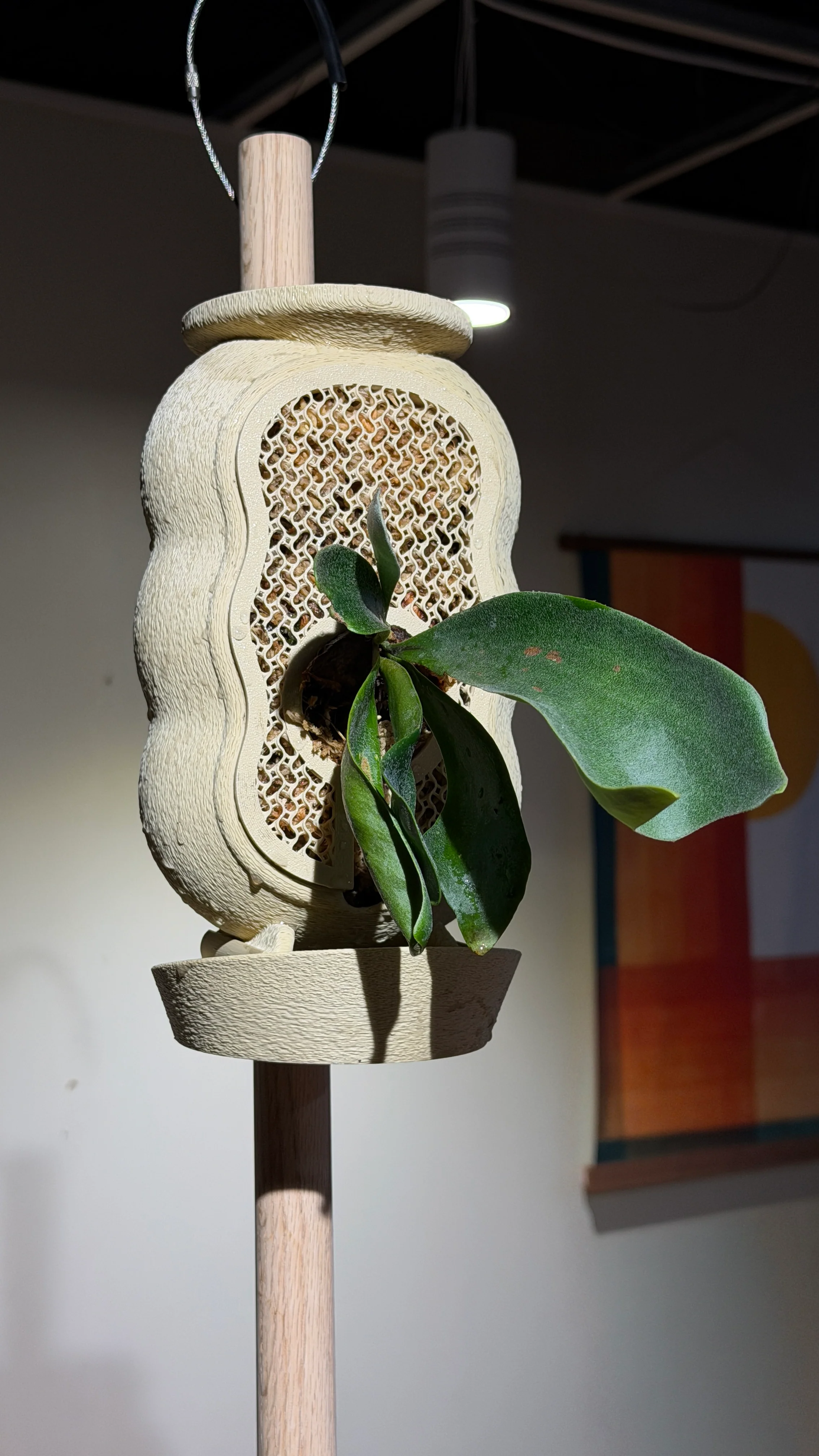 Rousseau Mounts