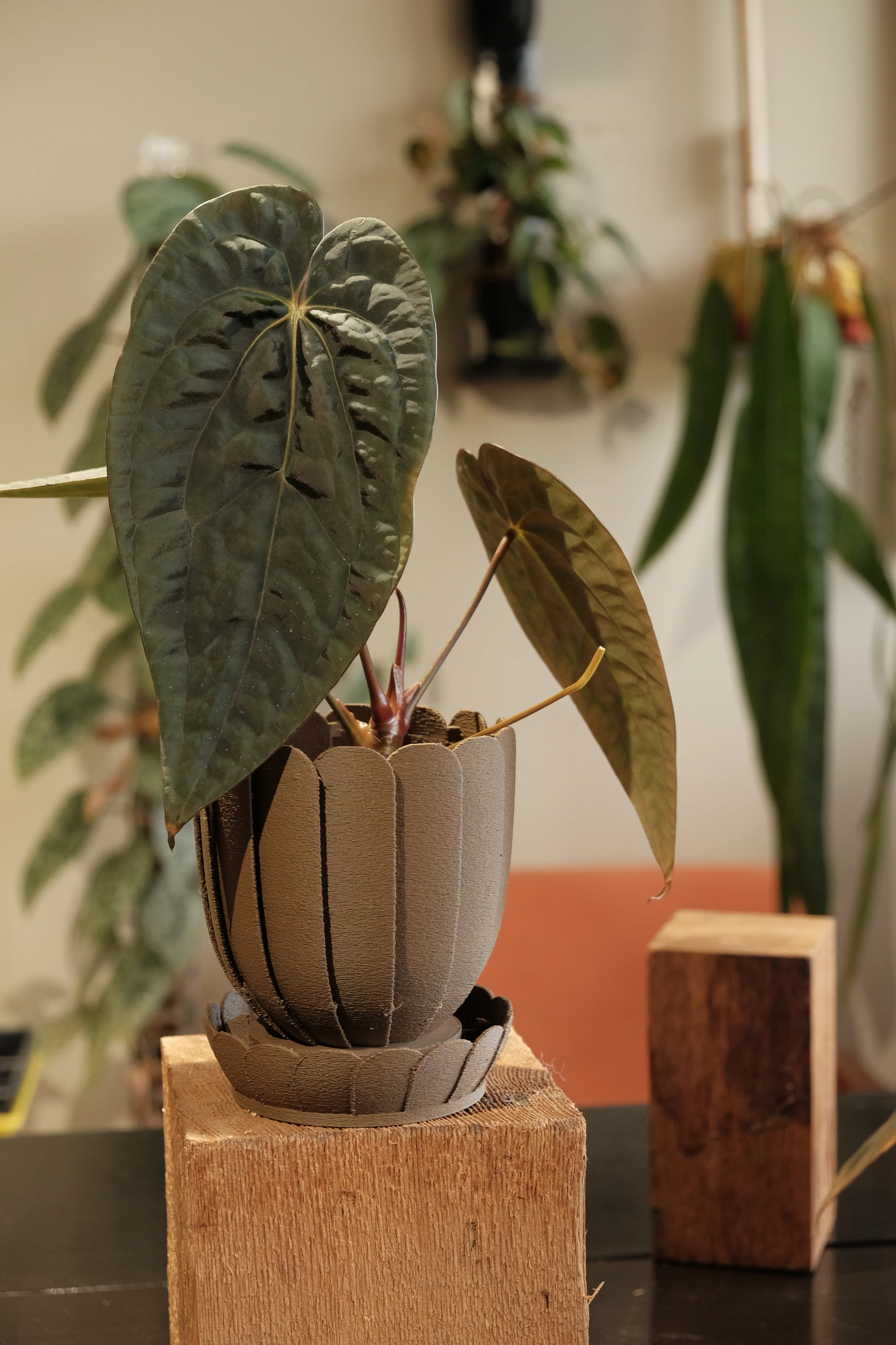 Rousseau Petal Pot - Image 4