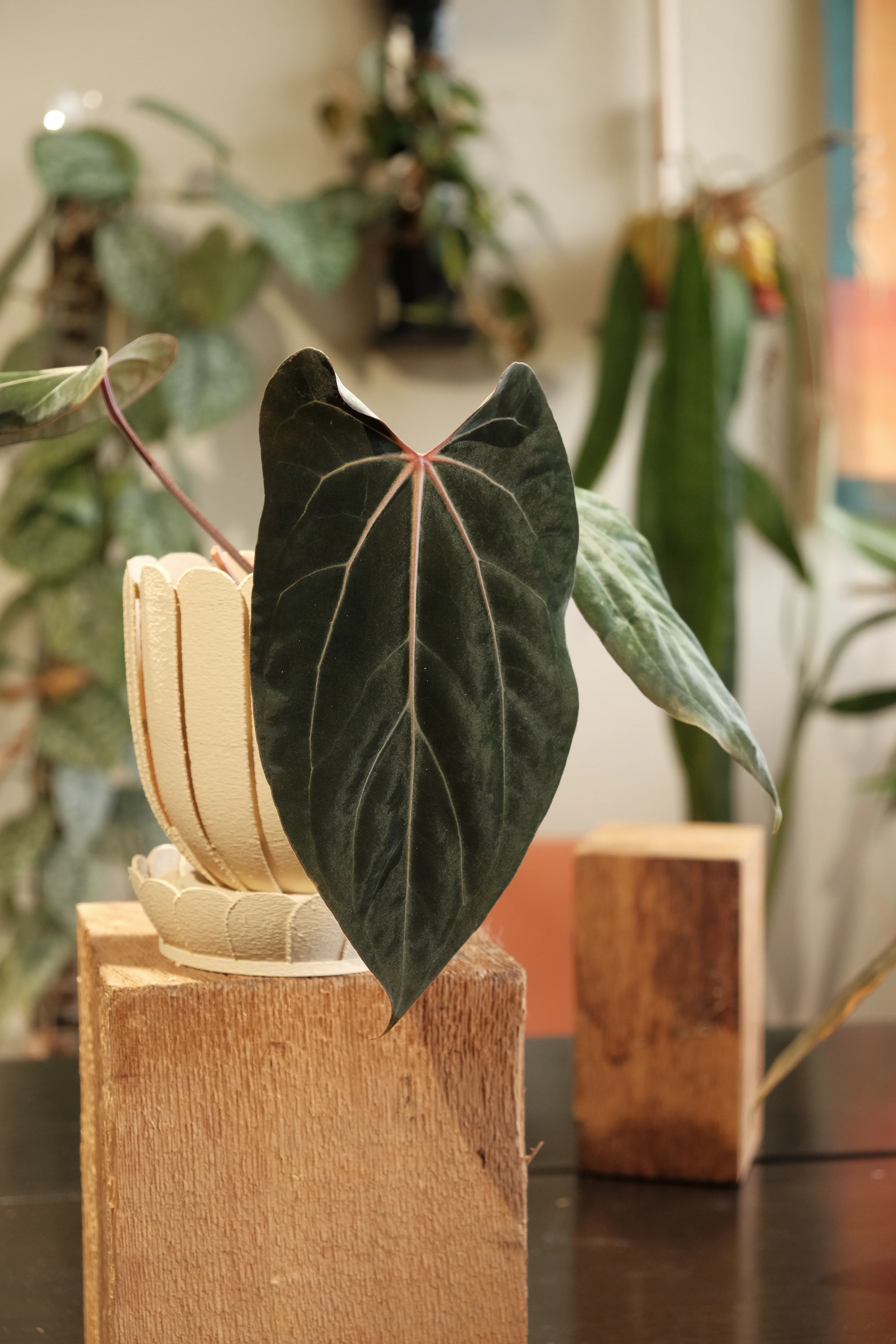 Rousseau Petal Pot - Image 5